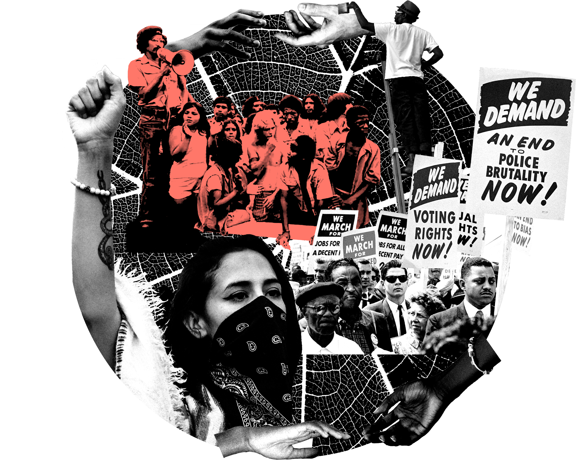 collage depicting themes of community organizing, connection, and liberation
