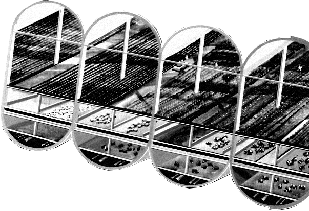 farms in an ONeill Cylinder