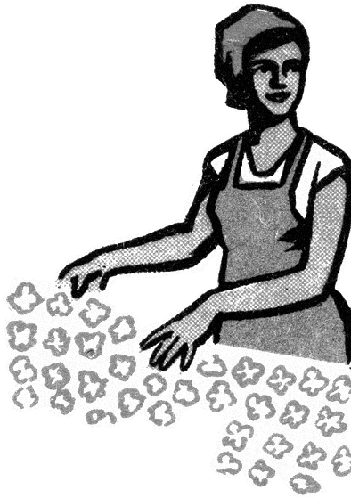 illustration of a farmer